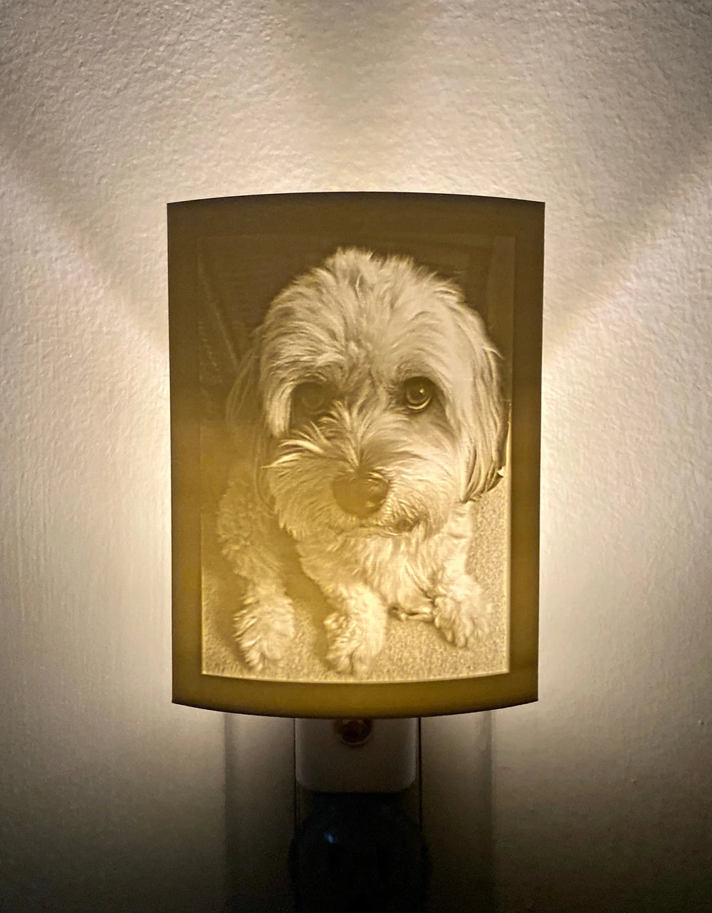 Custom Pet Photo Lithophane Night Light