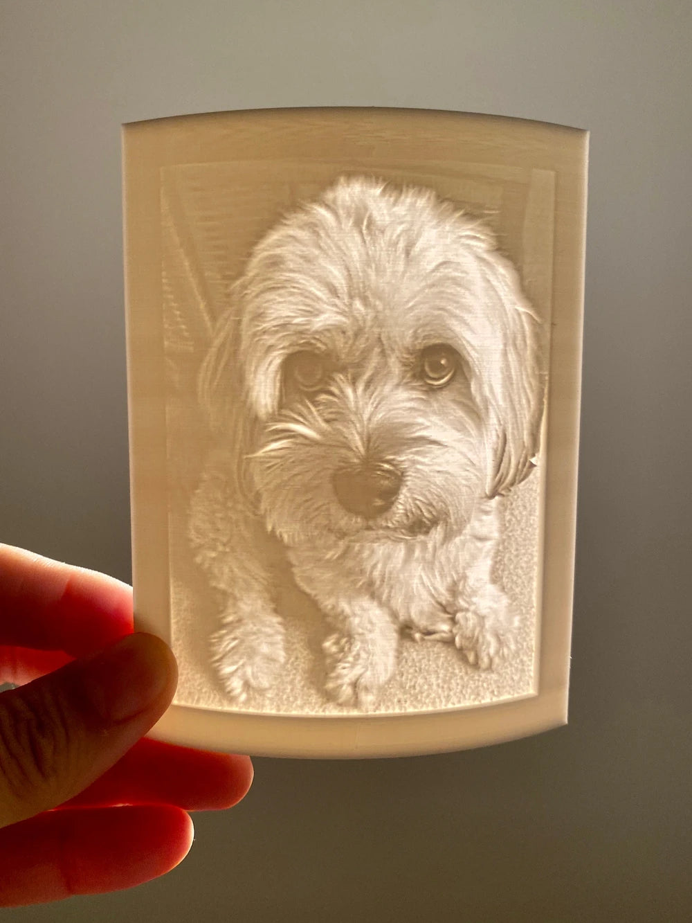 Custom Pet Photo Lithophane Night Light