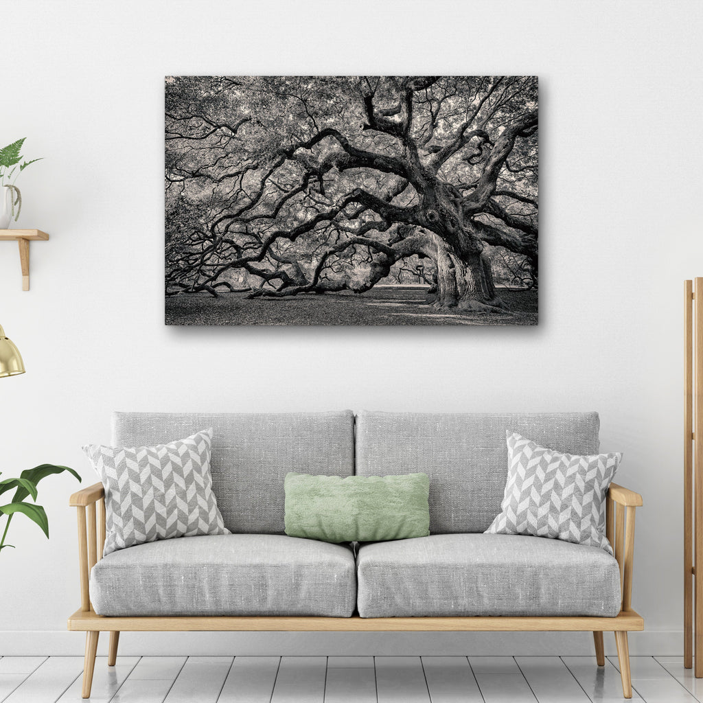 Monochrome Angel Oak Tree Canvas Wall Art
