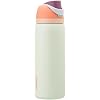 Owala FreeSip Stainless Steel Water Bottle